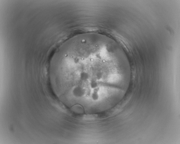 X0000115690373200911251818