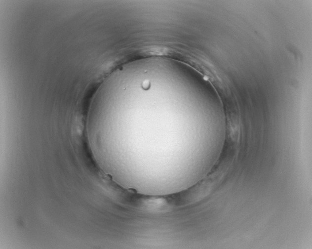 X0000115690374200911251818