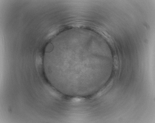 X0000115690375200911251818