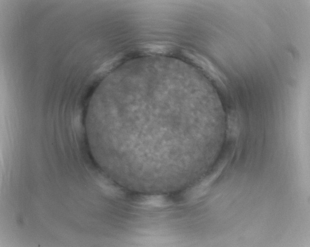 X0000115690377200911251818