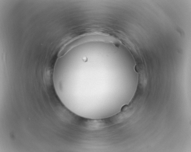 X0000115690378200911251818