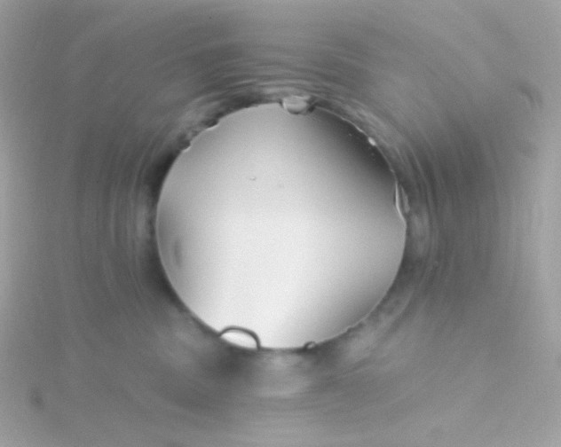 X0000115690379200911251818