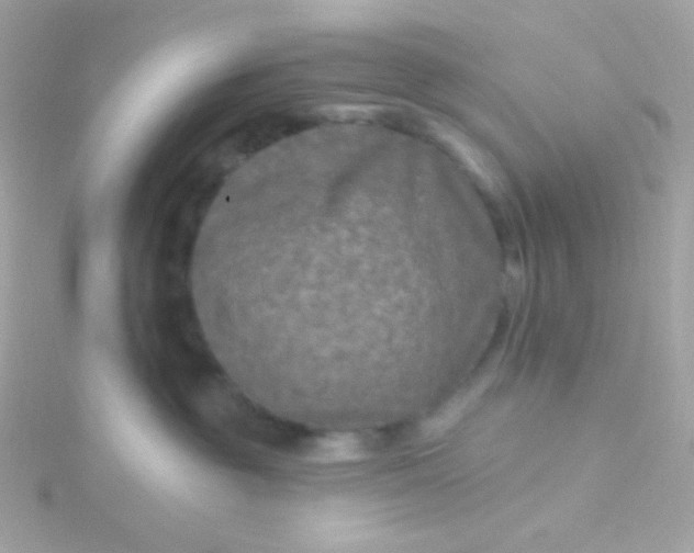 X0000115690381200911251818