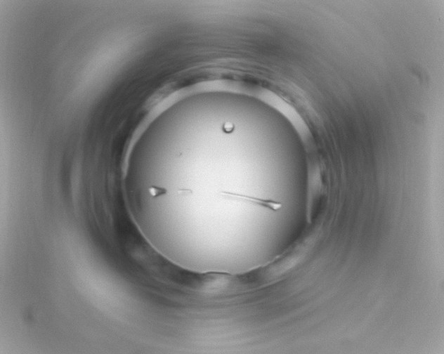 X0000115690382200911251818