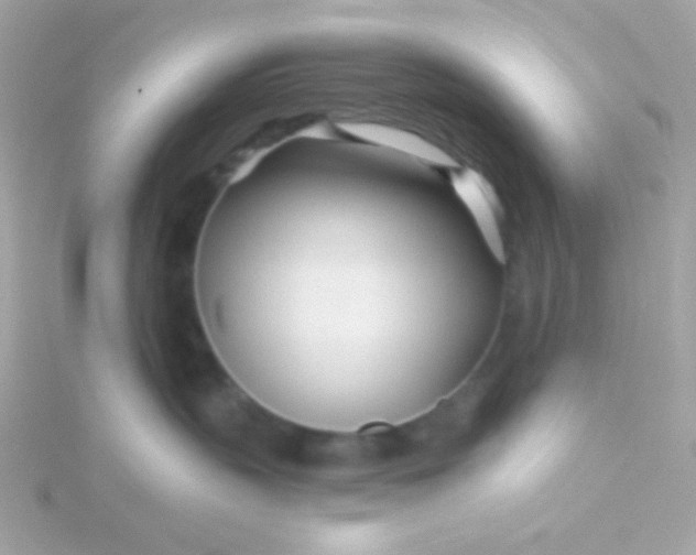 X0000115690383200911251818