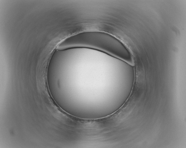 X0000115690385200911251817