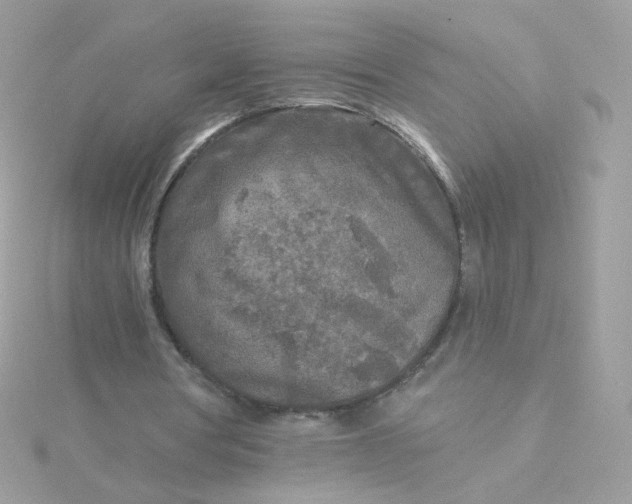 X0000115690386200911251817