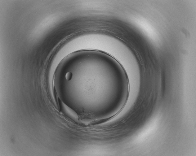 X0000115690387200911251817