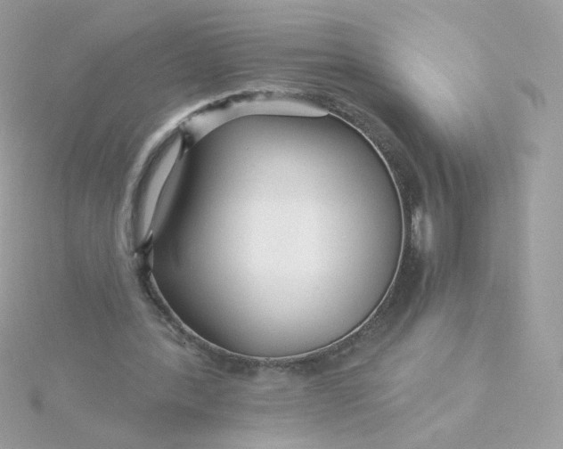 X0000115690388200911251817