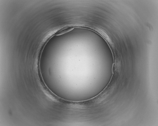 X0000115690389200911251817