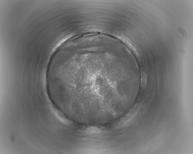 X0000115690390200911251817