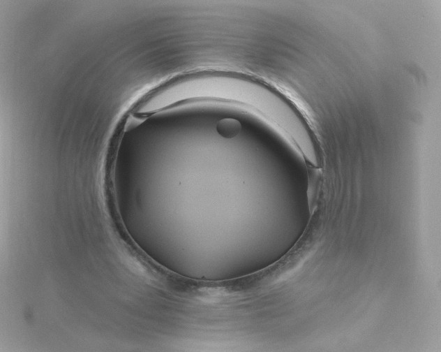 X0000115690391200911251817