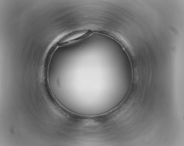 X0000115690392200911251817