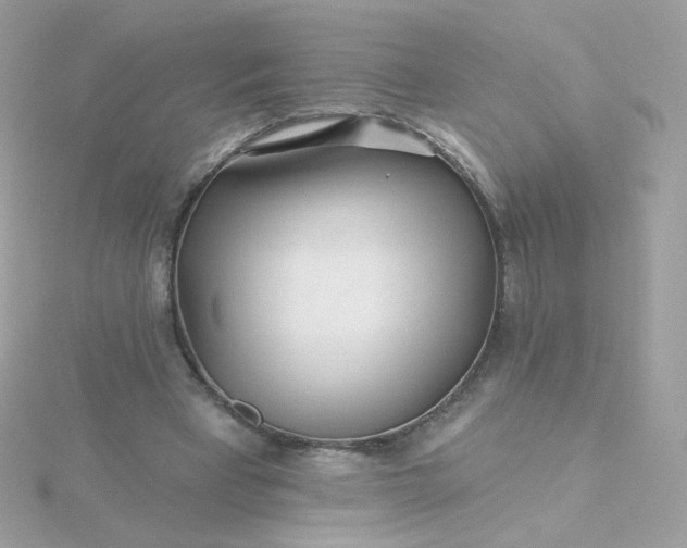 X0000115690393200911251817