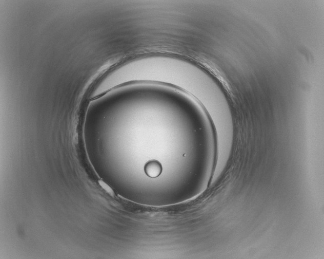 X0000115690395200911251817