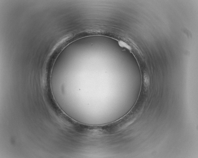 X0000115690396200911251817