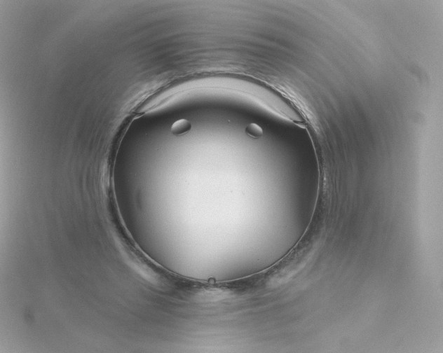 X0000115690397200911251817