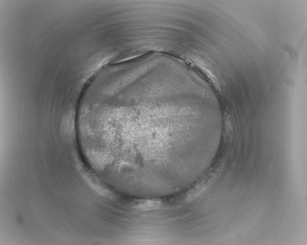 X0000115690398200911251817