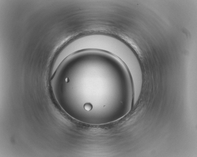 X0000115690399200911251817