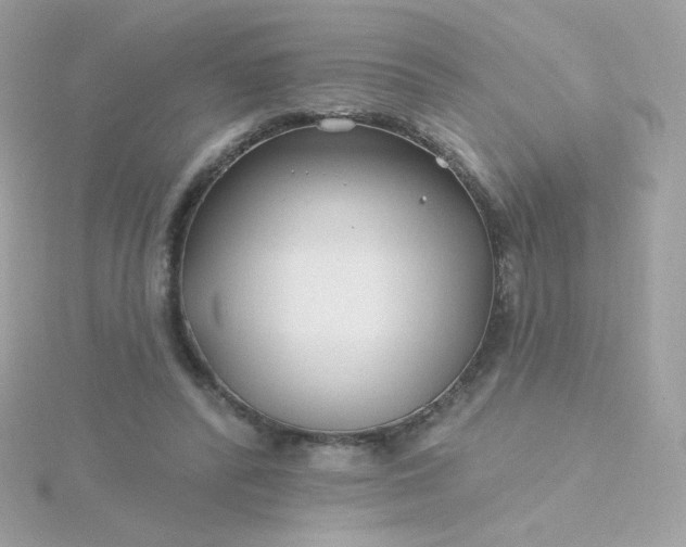 X0000115690400200911251817