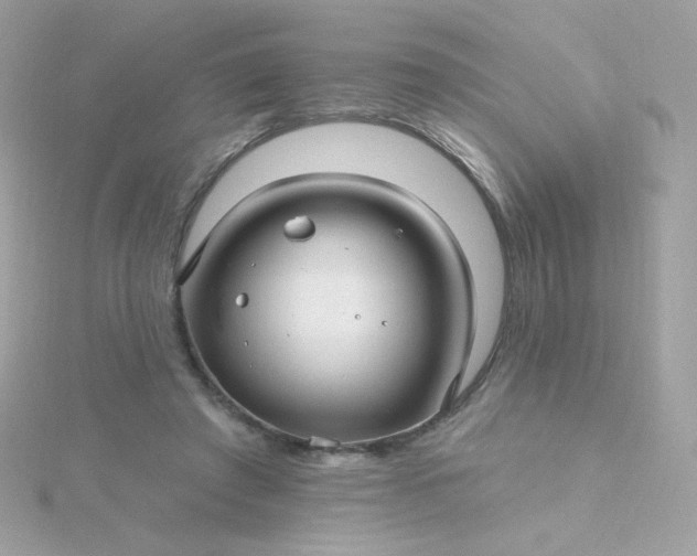 X0000115690401200911251817