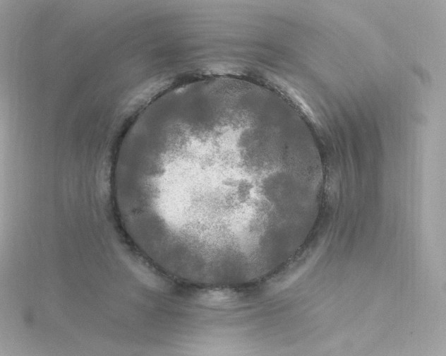 X0000115690402200911251817