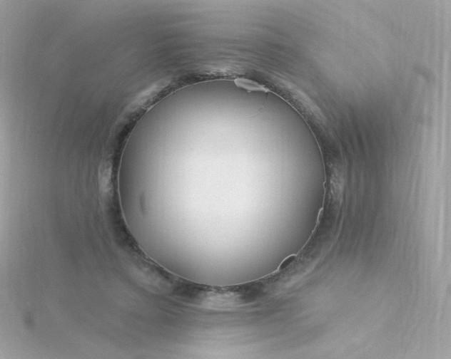 X0000115690403200911251817