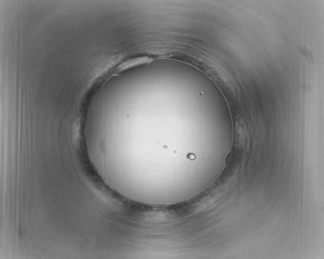 X0000115690404200911251817