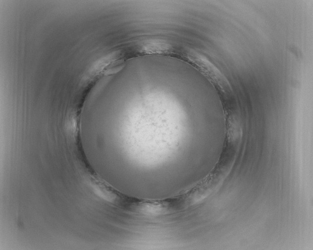 X0000115690405200911251817