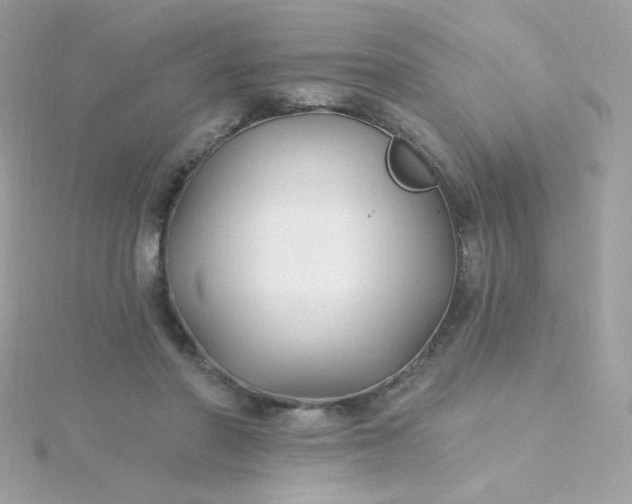 X0000115690406200911251817