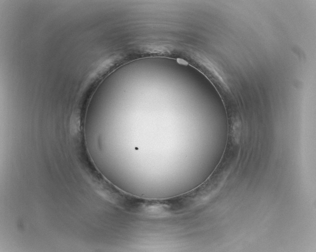 X0000115690407200911251817