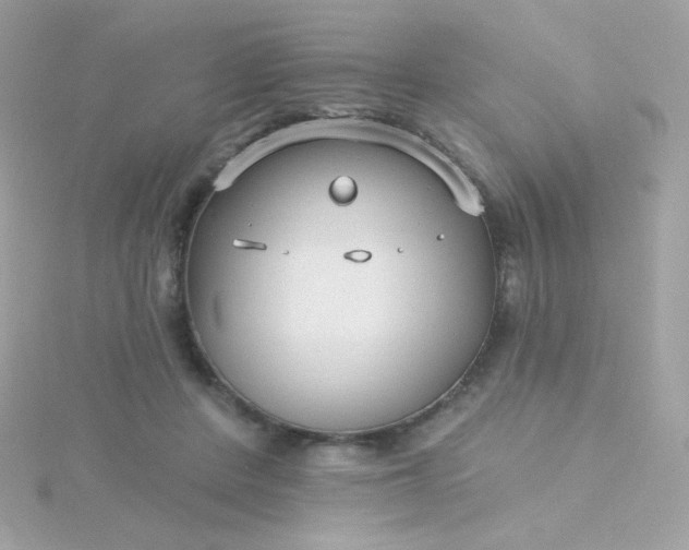 X0000115690408200911251817