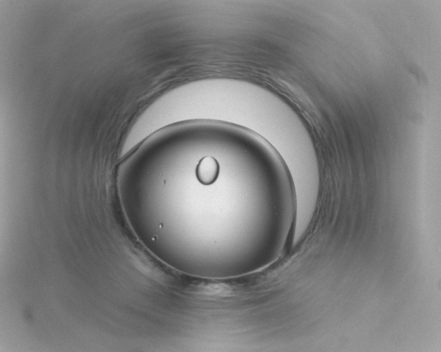 X0000115690409200911251817