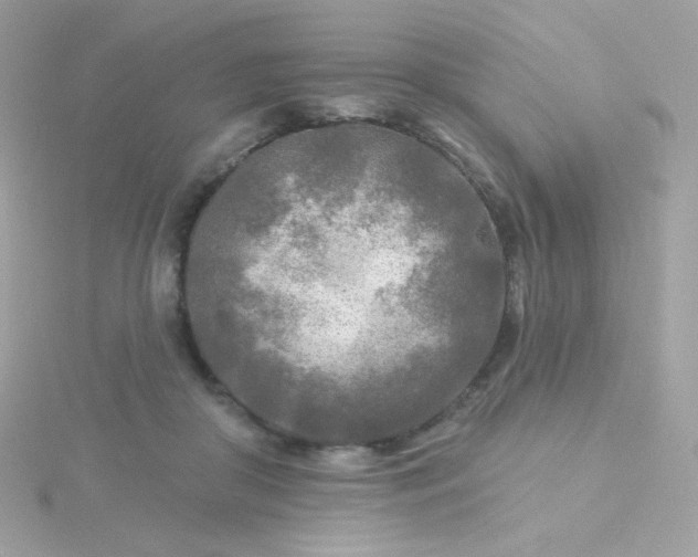 X0000115690410200911251817