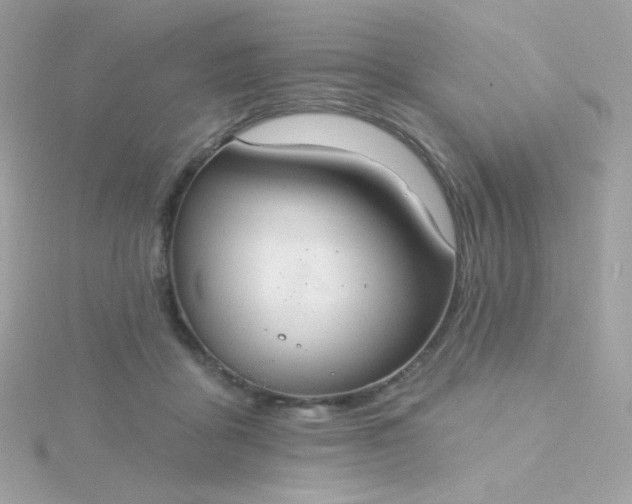 X0000115690411200911251817