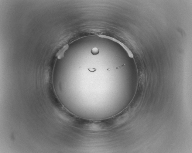 X0000115690412200911251817