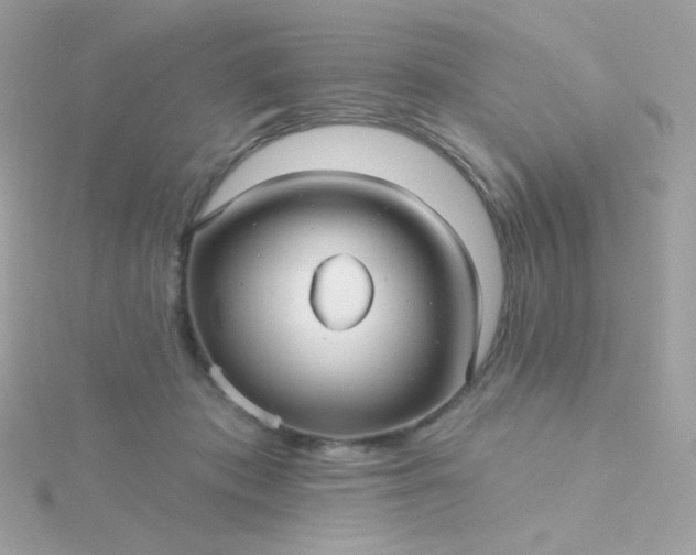 X0000115690413200911251817