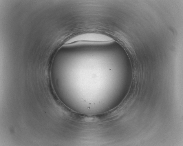 X0000115690415200911251817