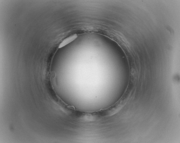 X0000115690416200911251817