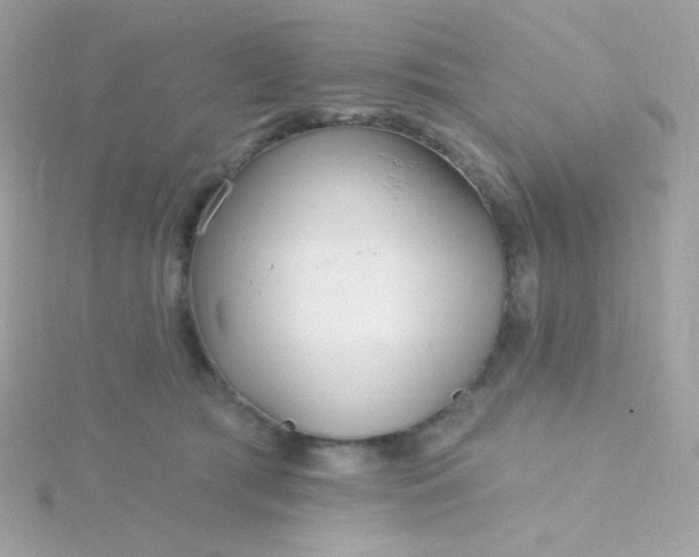 X0000115690417200911251817