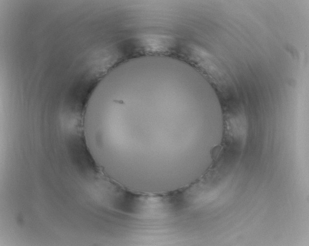 X0000115690419200911251817