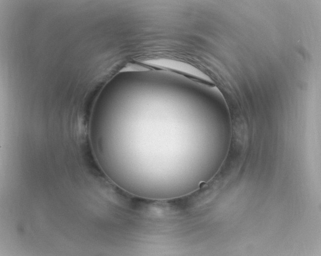 X0000115690420200911251817