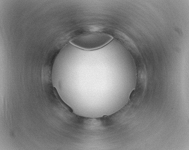 X0000115690421200911251817