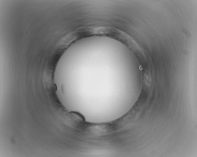 X0000115690422200911251817