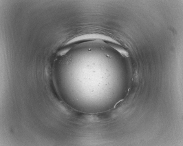 X0000115690424200911251817