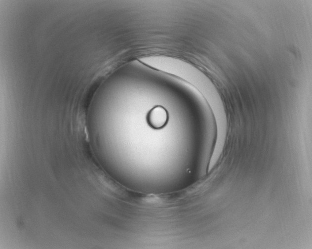 X0000115690425200911251817