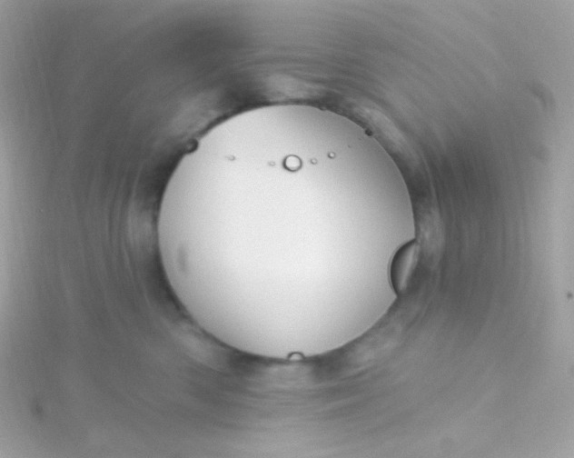 X0000115690426200911251817