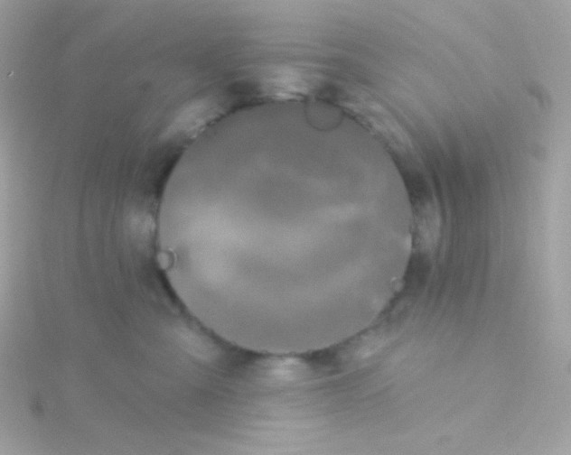 X0000115690427200911251817