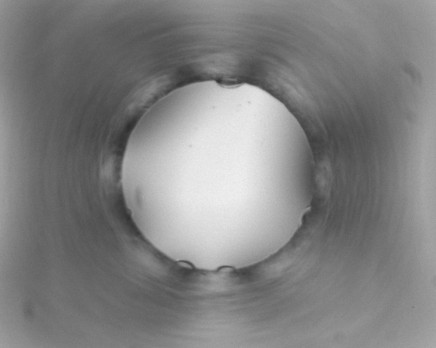 X0000115690428200911251817