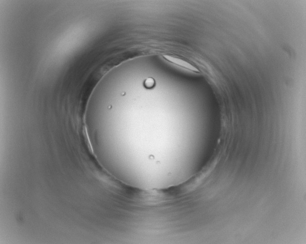 X0000115690429200911251817